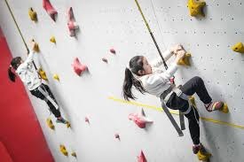 中超新赛季转会窗口开启，多队引援动作频繁