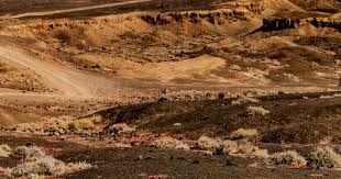 球迷：对方防他像空气一样